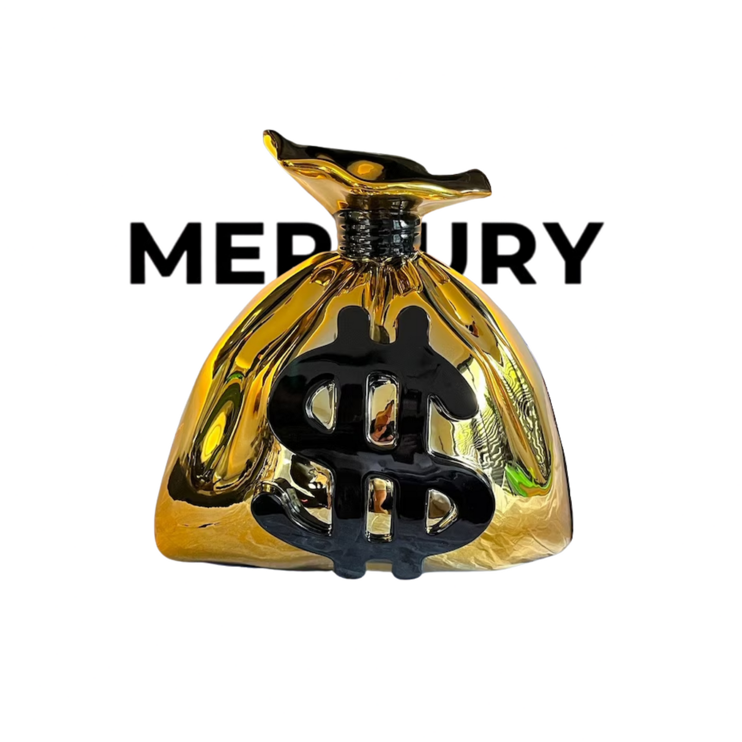 $ Money Bag Cartoon $